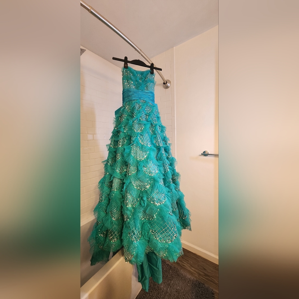 Quinceanera/Prom Dress Ball Gown